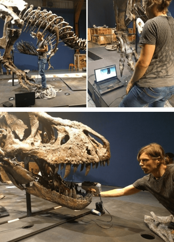 Proces skanowania 3D tyranozaura